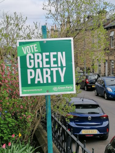 Green Party Garden Stake