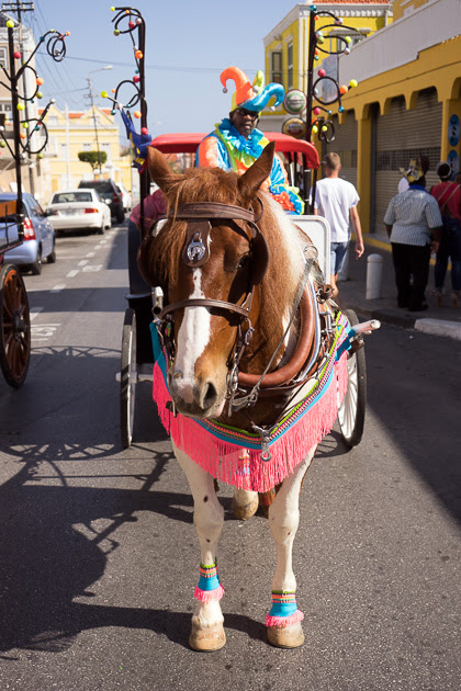 Carnaval caballo Desfile Curacao 2016