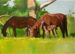 The Complete Horse Family (12" x 16"  Oil on canvas paper - no frame) - Posted on Tuesday, March 24, 2015 by Ramon DelRosario