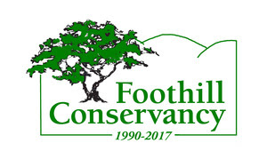 2017 FC logo green trans 2017 FC logo green trans