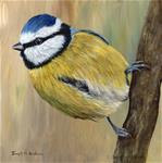 Blue Tit - Posted on Tuesday, March 31, 2015 by Janet Graham