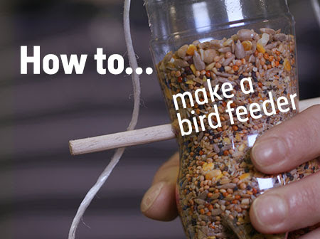 A video showing how to build a bird feeder