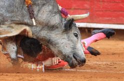 El Supremo refuerza el blindaje legal de la tauromaquia al vetar las consultas populares sobre los toros