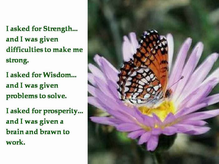 utterfly
inspiring
story