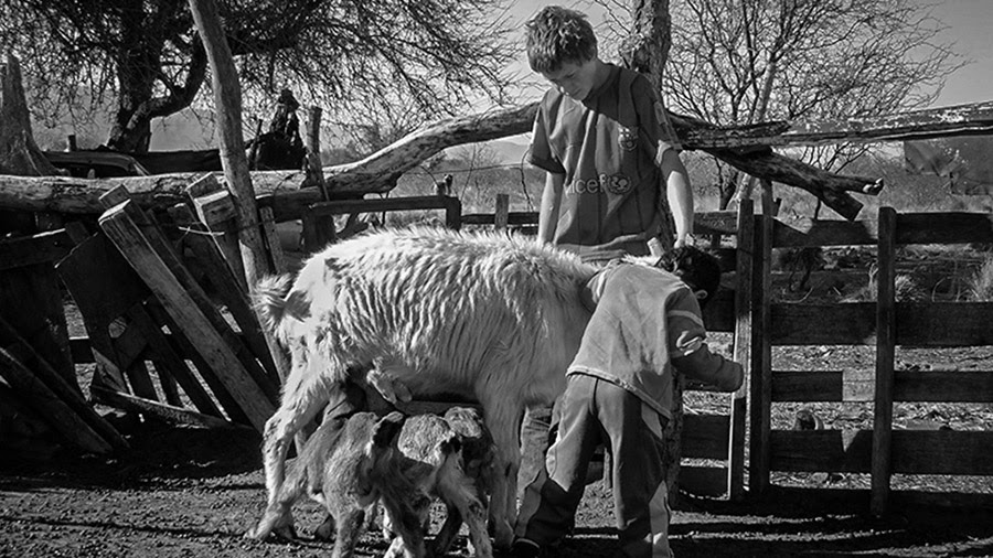 agricultura campesina traslasierras1