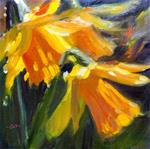 Early Spring Daffodils - Posted on Monday, March 2, 2015 by Cietha Wilson