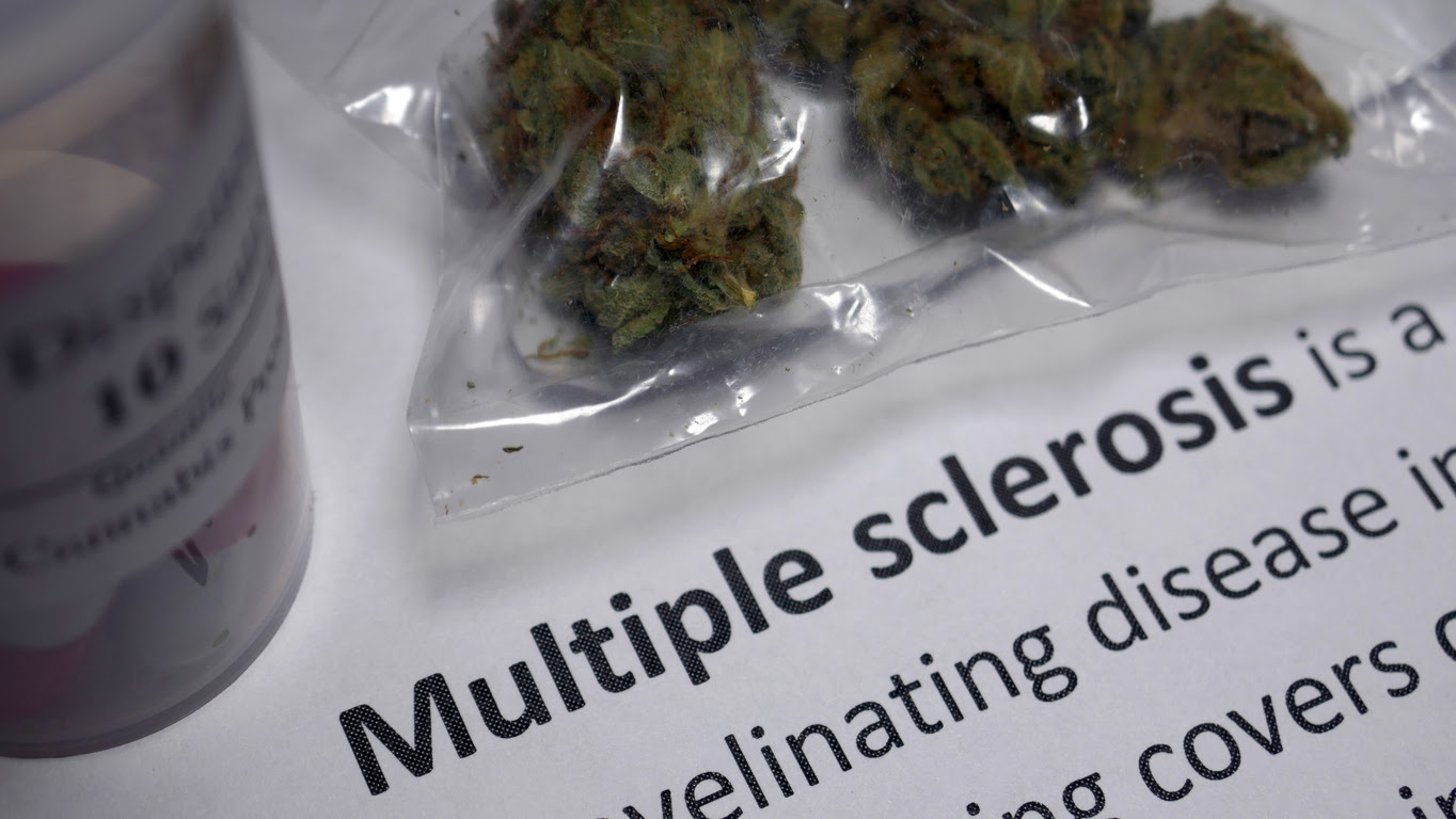 Medical Marijuana, Cannabis, Multiple Sclerosis, Treatment