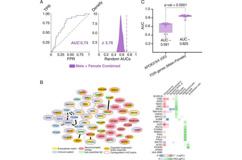 Machine-learning program reveals genes responsible for sex-specific differences in Alzheimer's disease progression