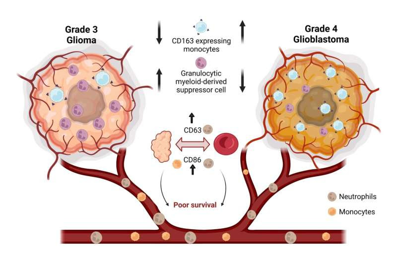 Blood-based biomarkers for brain tumours