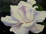 White Winter Rose - Posted on Thursday, December 11, 2014 by Nel Jansen