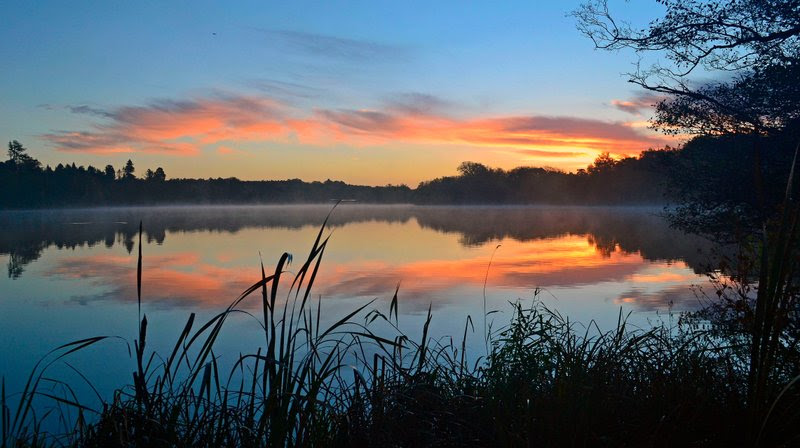 Lake Virginia Water