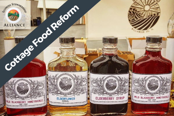 Cottage Food Reform is a Primary Issue - Photo of cottage food produced syrups from Glacier's End Farm outside of Carbondale in Southern Illinois.