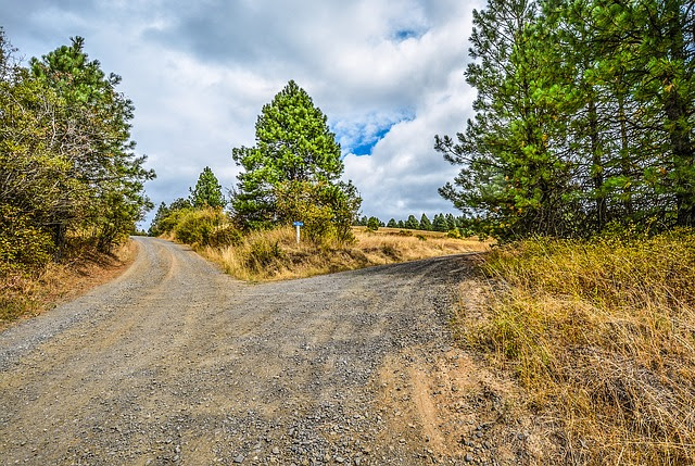 Fork in Road