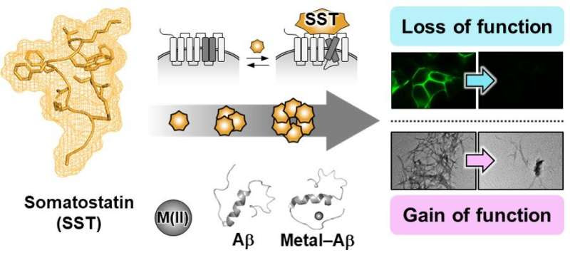 KAIST Research Team Proves How Neurotransmitter may be Key in Controlling Alzheimer's Toxicity