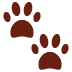 Paw prints 🐾