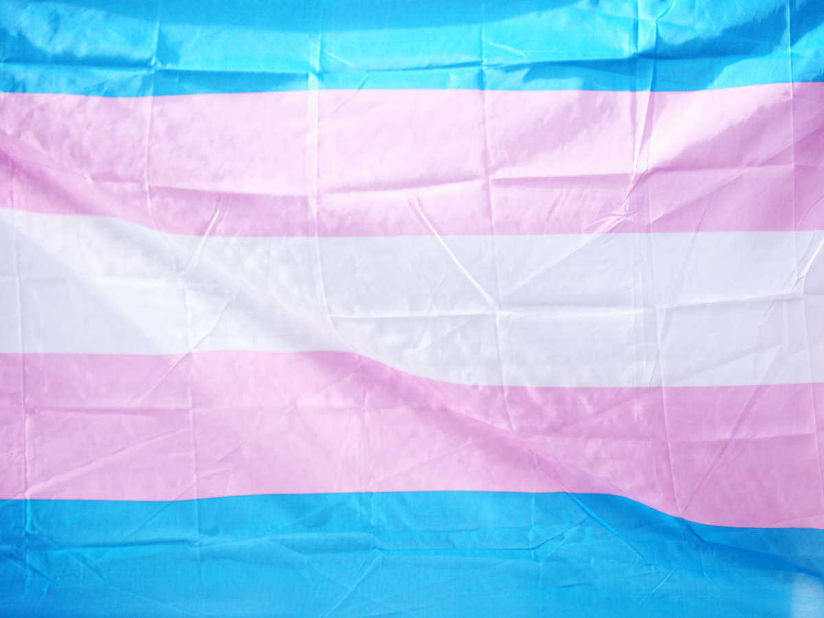 TGD pride flag