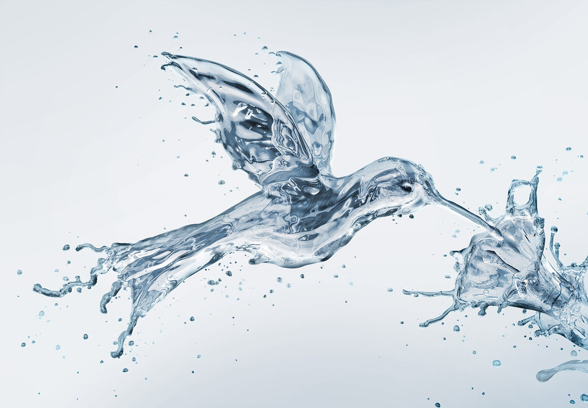 23 humming bird water 3d splash CGI visual