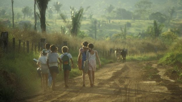 Crianças caminham em estrada de terra em meio a plantações