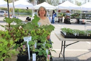 DeVulder's Farm offers a variety of vegetables and vegetable starts.