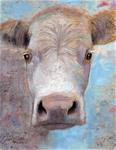 White Cow - Posted on Monday, March 30, 2015 by Jim  Bliss