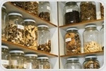 Authenticating Complex Herbal Products using Liquid Chromatography