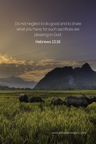 Hebrews 13_16