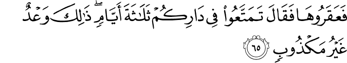 11:65