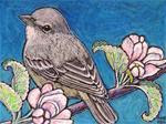 Lucy's Warbler - Posted on Monday, March 16, 2015 by Ande Hall