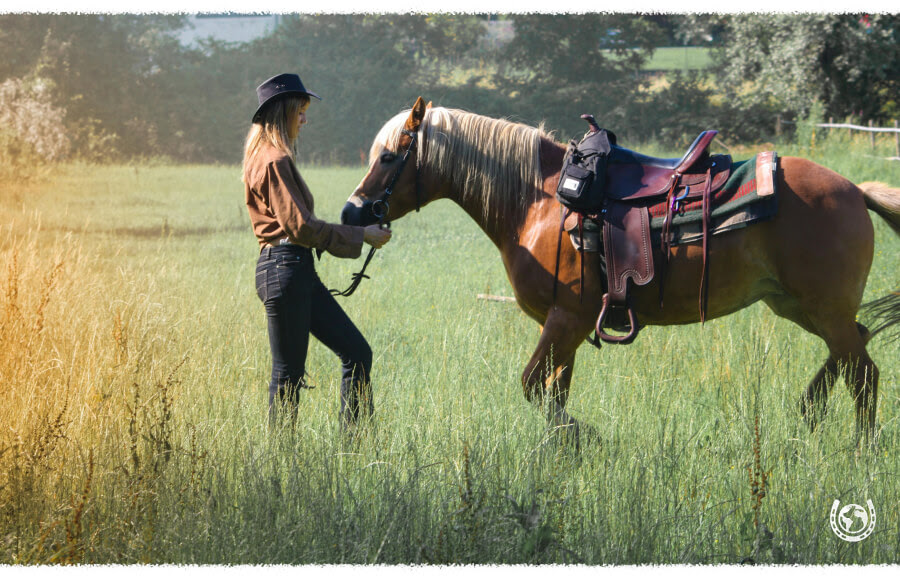 Horse riding holiday
