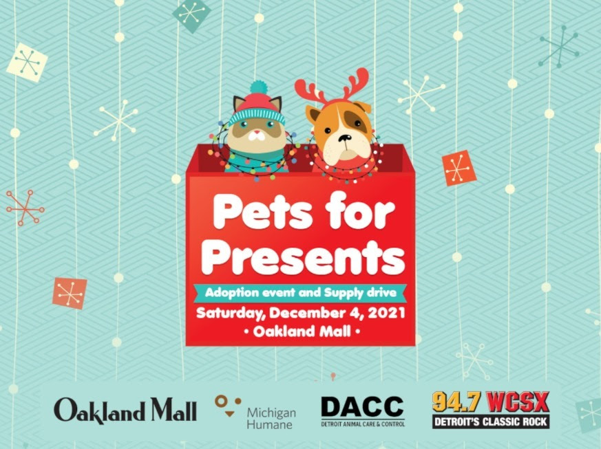 Pets Christmas flyer