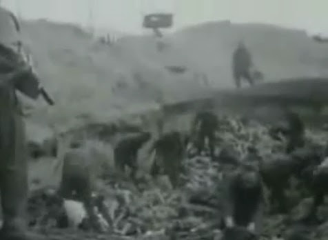 An SS group in a mass                             grave under the order of British machine                             guns (23min. 55sec.)