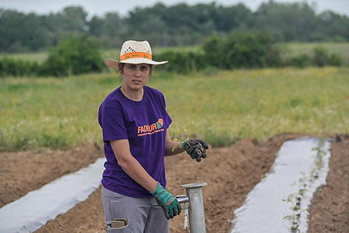 Una integrante de FADEMUR Madrid cultivando los tomates que meses después comenzaría a vender directamente a los consumidores y consumidoras en La Plataforma Verde.