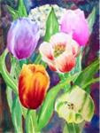 Burst of Tulips - Posted on Wednesday, April 8, 2015 by Melle Ferre