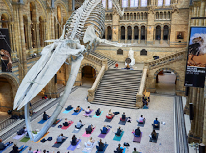 Yoga taking place in Hintze Hall