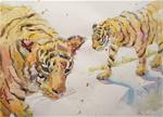 tiger studies - Posted on Saturday, January 3, 2015 by Nora MacPhail