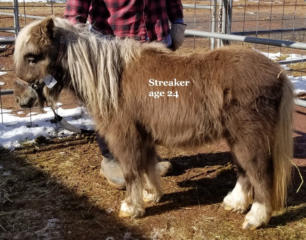 20191201 streaker