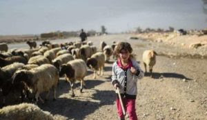 Iraq: Muslims kidnap 30 villagers, murder seven shepherds