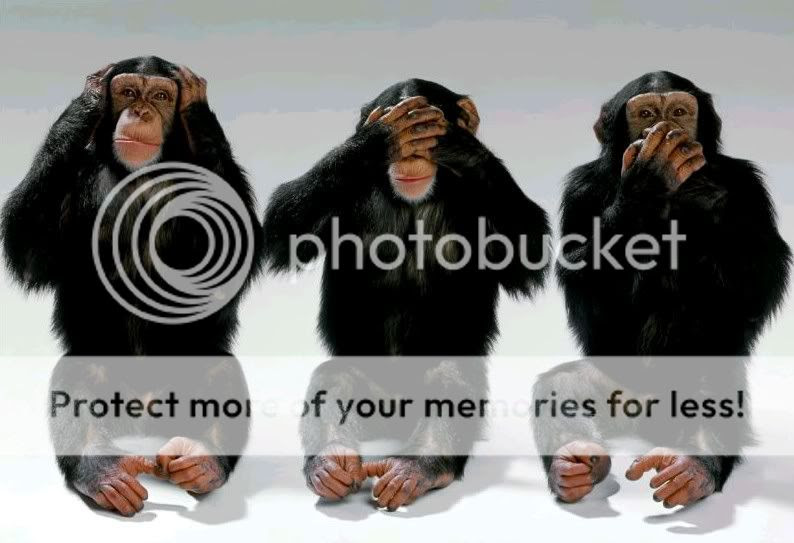 chimpanze_jpg.jpg image by unmil