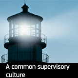 A common supervisory culture