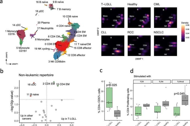 Friend or foe? The immune system collaborates with blood cancer cells