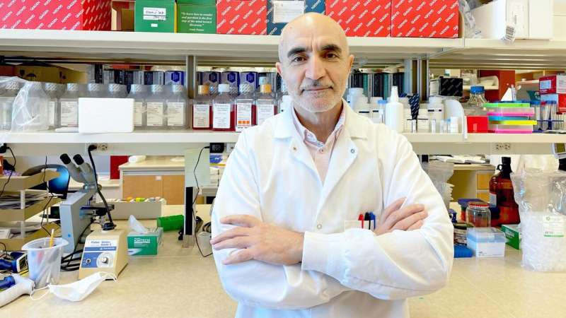 Landmark study points to source of rapid aging, chronic inflammation in people living with HIV