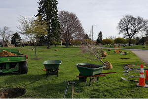 Wheelbarrows, shovels and other tree-planting equipment spread out over a greenspace DTE work area site