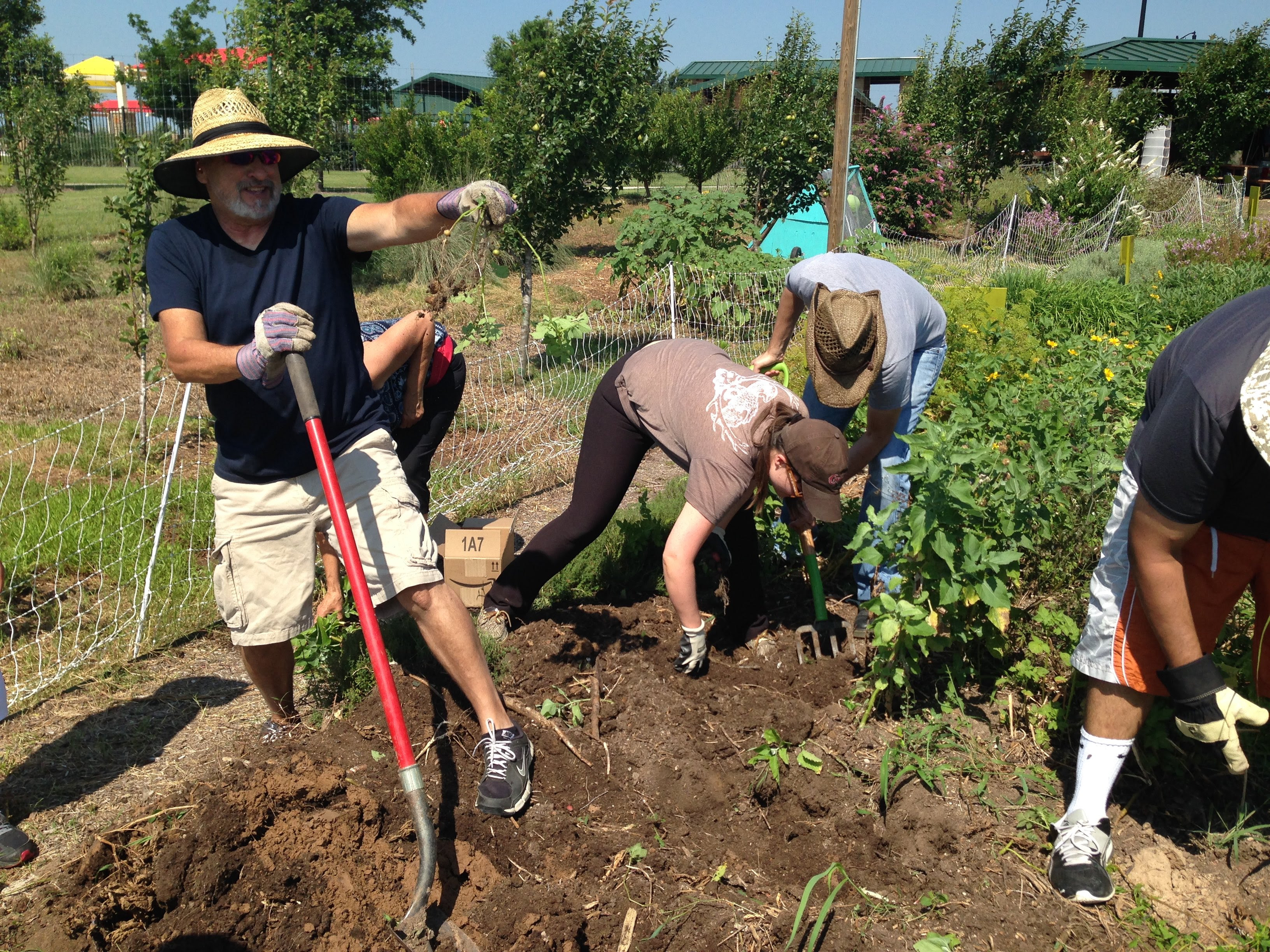 The Sunfield Community Garden is our newest AEN partner.