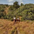 Aventoriba 2