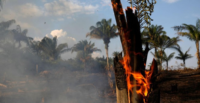 Un tramo de la Amazonia quemado por leñadores y granjeros para limpiar el terreno en Iranduba. / Reuters