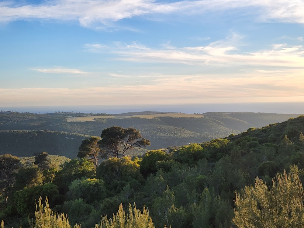 Un paysage arboré et un plan d’eau au loin