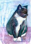 5x7 Mr Blue Watercolor Cat Feline Kitty white chest by Penny Lee StewArt - Posted on Tuesday, January 20, 2015 by Penny Lee StewArt