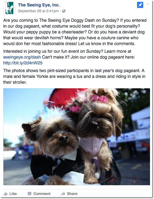Image of the Facebook post with details on how to enter the Doggy Dash Online Pageant