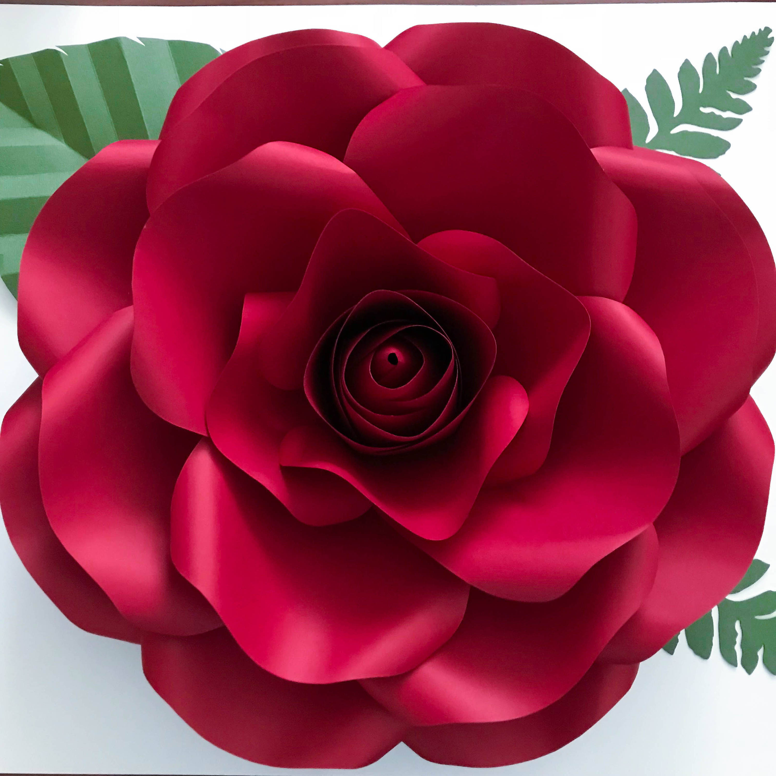 Paper Flowers SVG New Medium Rose Paper Flower Template DIY Cricut