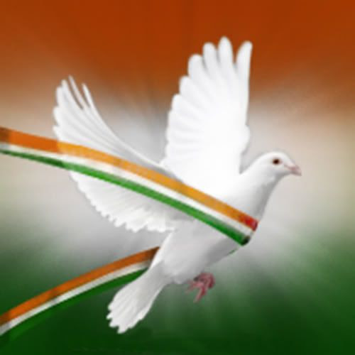 indian flag photo: Indian Flag_Bird 3Coulors_Bird.jpg